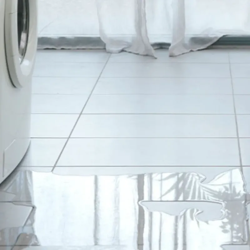 Appliance Leak Cleanup in Pinehurst, NC