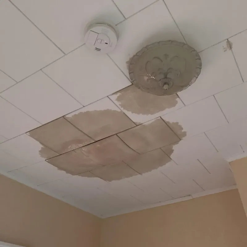 Ceiling Water Damage Repair in Pinehurst, NC